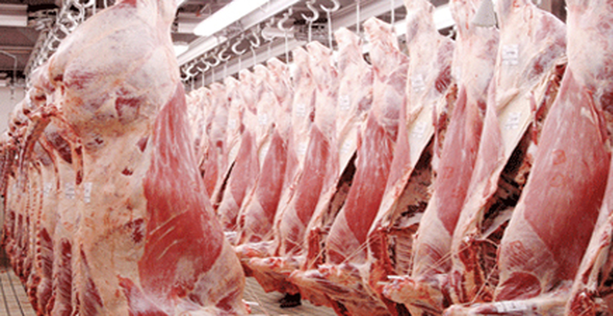 بازار گوشت قرمز نیازمند گوشت وارداتی برای تنظیم بازار است