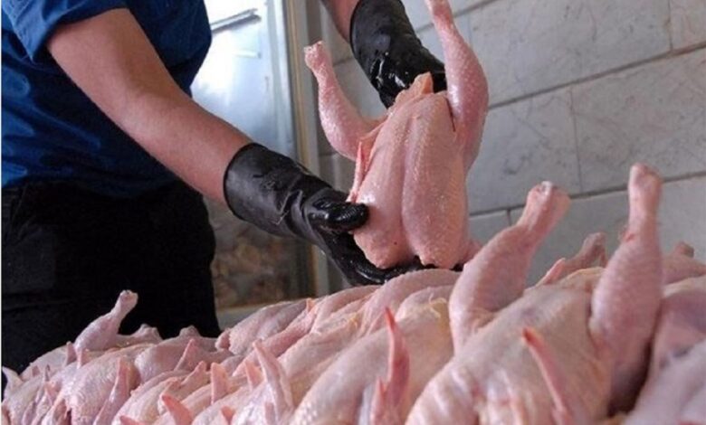 قیمت مرغ