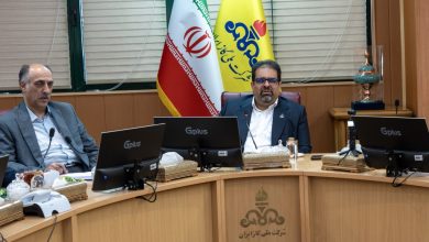 سعید توکلی، معاون وزیر نفت و مدیرعامل شرکت ملی گاز ایران