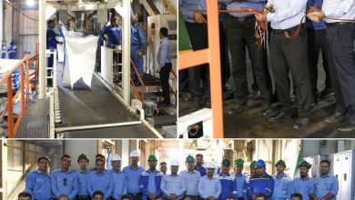 پتروشیمی شهید تندگویان