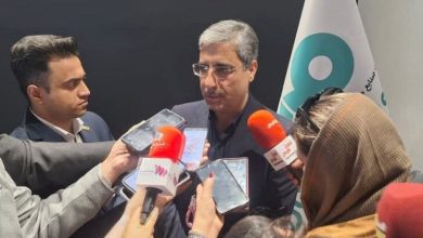 رسولیان، مدیرعامل فولاد سنگان