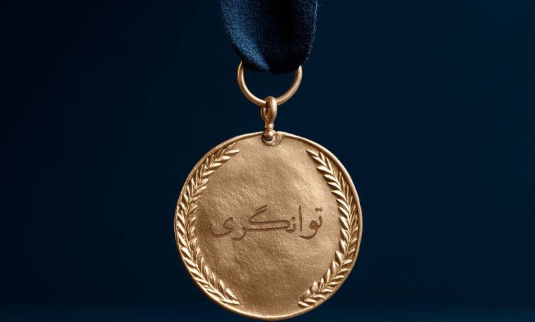 سطح توانگری بیمه سامان