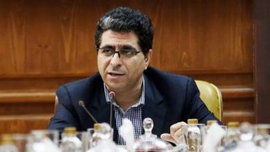 محمدرضا سعیدی مدیرعامل شستا