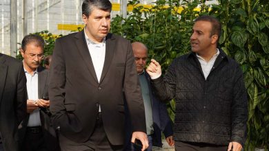 مدیرعامل بانک توسعه صادرات