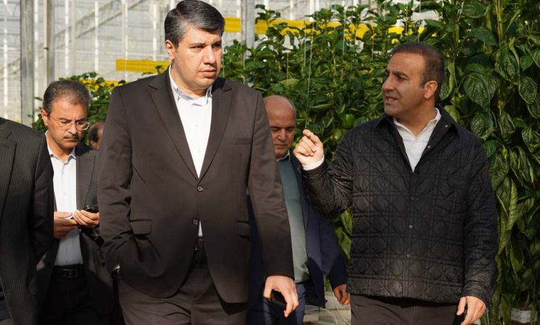 مدیرعامل بانک توسعه صادرات