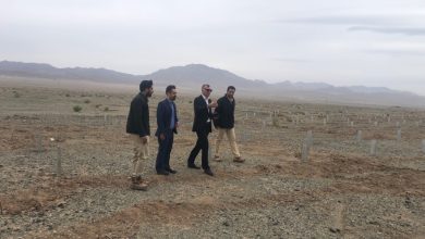 انرژی