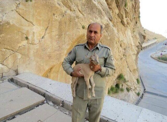 شهید