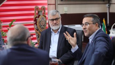 ضرعامی