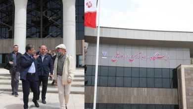 امامی