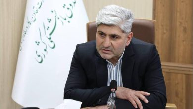 شیخی