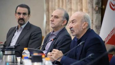 دانشگاه