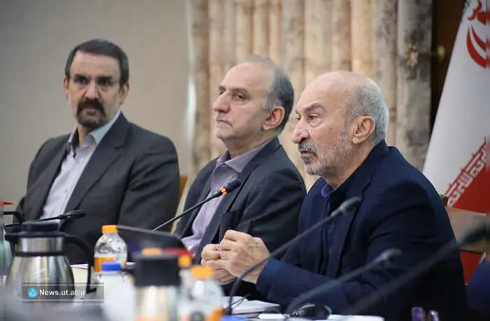 دانشگاه