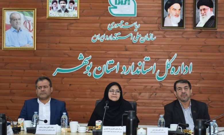انصاری
