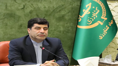 کشاورزی