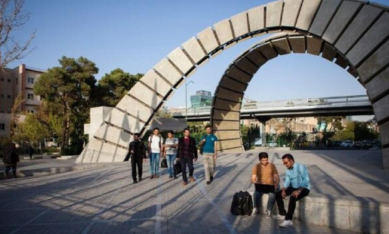 دانشگاه