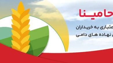 حامینا
