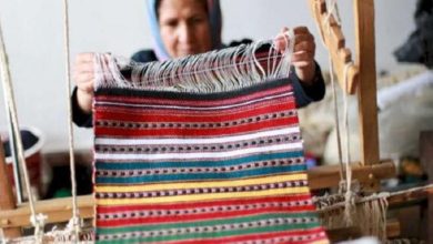 استارتاپهای روستایی