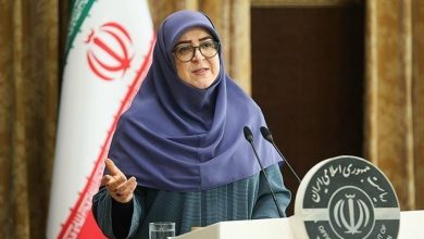 فاطمه مهاجرانی، سخنگوی دولت