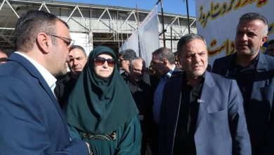 شینا انصاری معاون رئیسجمهور