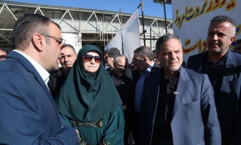 شینا انصاری معاون رئیسجمهور