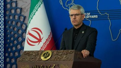 اسماعیل بقایی، سخنگوی وزارت امور خارجه