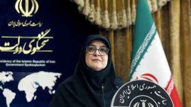 فاطمه مهاجرانی، سخنگوی دولت