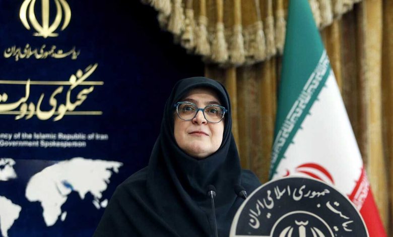 فاطمه مهاجرانی، سخنگوی دولت