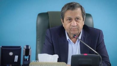 عبدالناصر همتی، رئیس‌کل بانک مرکزی