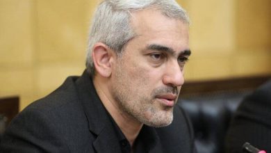 علی مدنیزاده، وزیر امور اقتصادی و دارای
