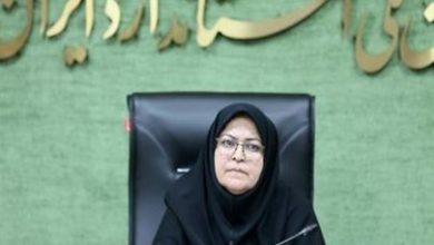 فرزانه انصاری رئیس سازمان ملی استاندارد
