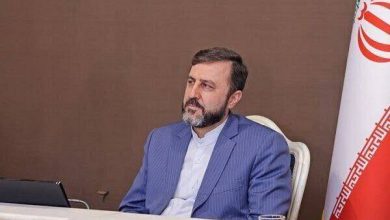 غریب‌آبادی، معاون وزیر امور خارجه و رئیس هیات مذاکرات فنی