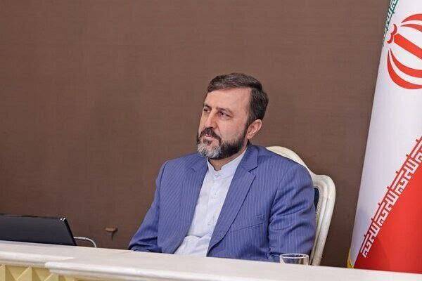 غریبآبادی، معاون وزیر امور خارجه و رئیس هیات مذاکرات فنی