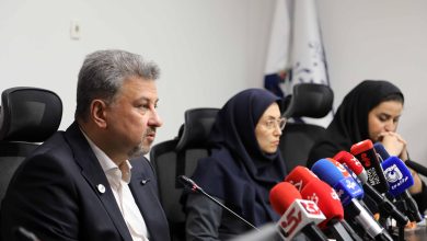 مصطفی رجبی مشهدی، معاون برق و انرژی