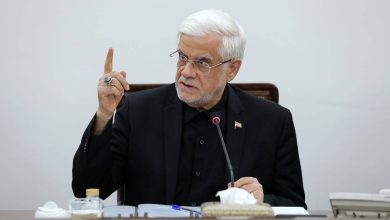 محمد رضا عارف معون اول رییس جمهور