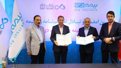 بیمه دی