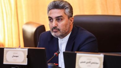 حاکم ممکان سخنگوی کمیسیون اقتصادی مجلس