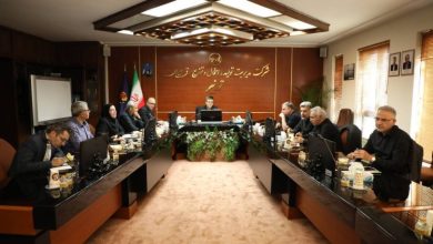 مدیرعامل شرکت توانیر