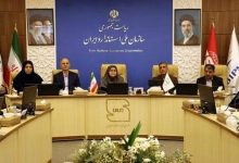 انصاری