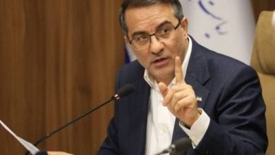 علاءالدین رفیع‌زاده معاون رئیس‌جمهور و رئیس سازمان اداری و استخدامی کشور