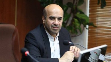 محسن طرزطلب رئیس سازمان انرژیهای تجدیدپذیر