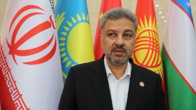 مصطفی رجبی‌مشهدی در حاشیه اجلاس وزرای انرژی سازمان همکاری شانگهای