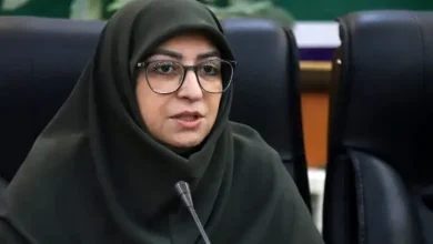 شینا انصاری، رئیس سازمان حفاظت محیط زیست