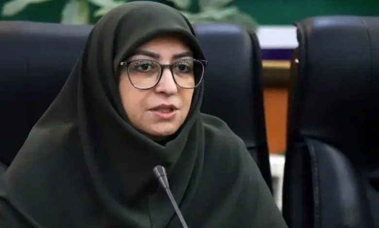 شینا انصاری، رئیس سازمان حفاظت محیط زیست