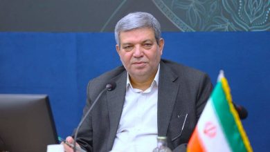 جواد حسینی رئیس سازمان بهزیستی کشور
