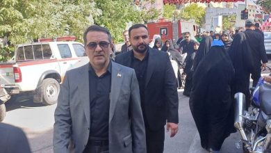 علاءالدین رفیع‌زاده، رئیس سازمان اداری و استخدامی کشور