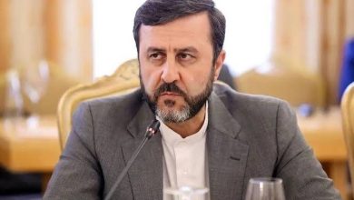 کاظم غریبآبادی معاون حقوقی و بینالملل وزیر امور خارجه
