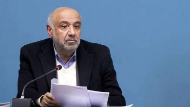 احمد میدری، وزیر تعاون، کار و رفاه اجتماعی