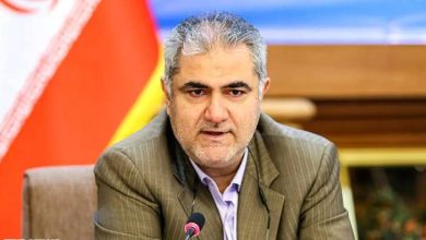 علی نبیان، مدیرعامل سازمان ملی زمین و مسکن