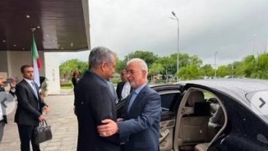 وزرای کشور ایران و پاکستان