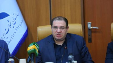 محمد گلزاری دبیر شورای اطلاع‌رسانی دولت